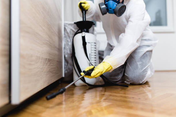 Best Best Pest Control Companies  in Juno Ridge, FL