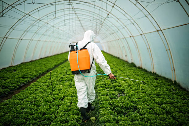 Best Pest Inspection Near Me  in Juno Ridge, FL