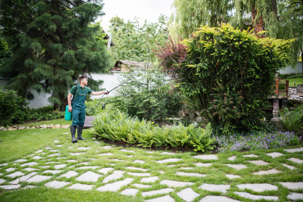 Professional Pest Control in Juno Ridge, FL