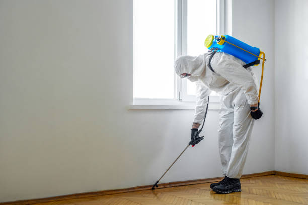 Best Emergency Pest Control  in Juno Ridge, FL