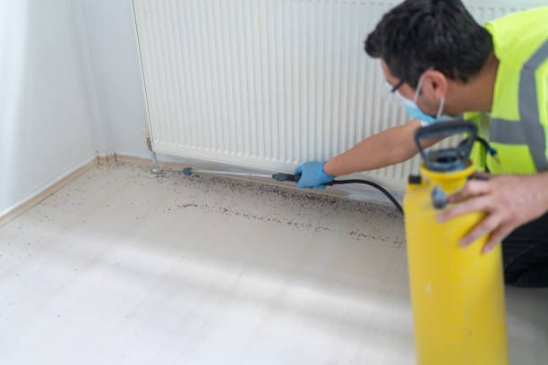 Best Commercial Pest Control Services  in Juno Ridge, FL