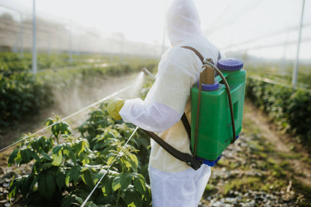 Best Pest Control Treatment  in Juno Ridge, FL